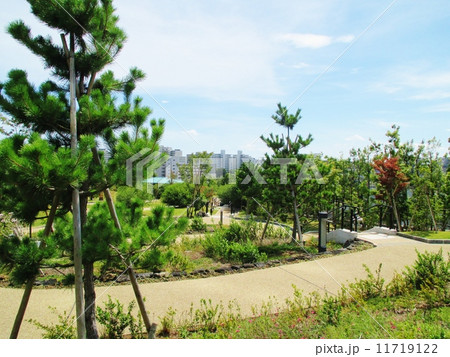 首都高速道路の上の丸い庭園 11719122