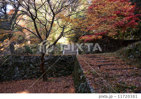 城跡の紅葉 11720381