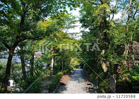 天龍寺の境内(右京区嵯峨天龍寺芒ノ馬場町) 天龍寺の境内(右京区嵯峨天龍寺芒ノ馬場町) 11720568