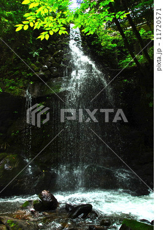 不動滝（神奈川県足柄下郡湯河原町宮上地内） 11720571