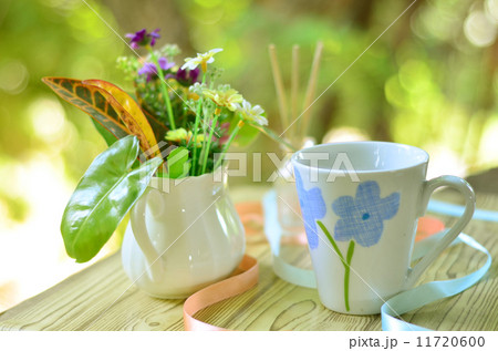 green leaf in fresh morning 11720600