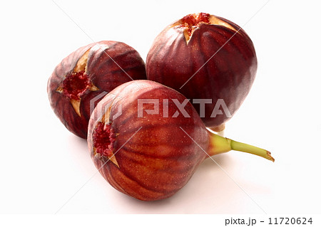 イチジク　無花果　カット　白背景 11720624