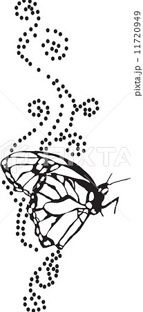 Butterfly Tattoo Vector Butterfly Tattoo Vector 11720949