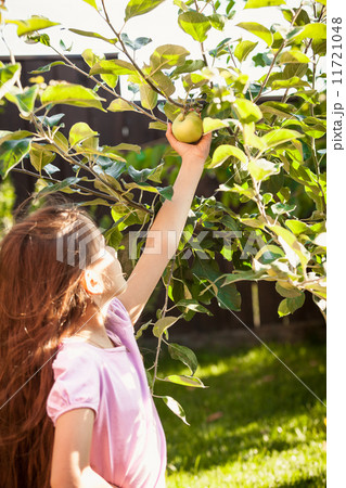 young girl holding green apple growing on tree young girl holding green apple growing on tree 11721048