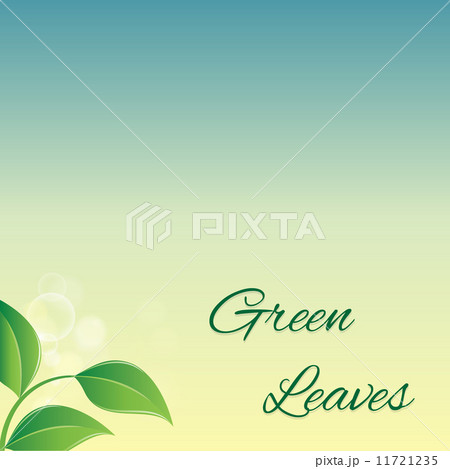 branch with fresh green leaves branch with fresh green leaves 11721235