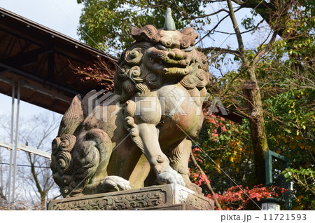 八坂神社の 狛犬 八坂神社 京都市東山区祇園町 の写真素材