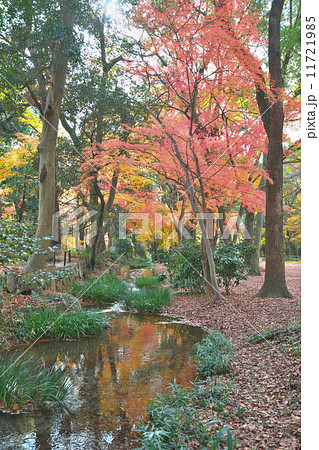 錦秋の下鴨神社 11721985