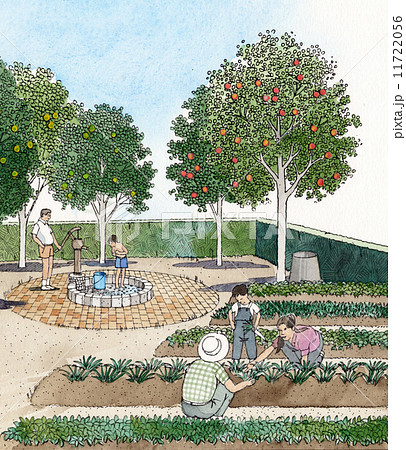 家計菜園の収穫 観光農園 家族 女性のイラスト素材