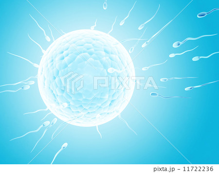 Spermatozoons, floating to ovule 11722236