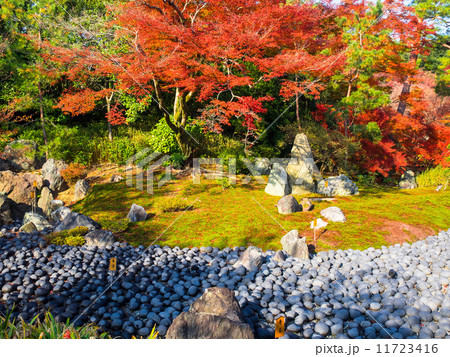 宝厳院 獅子吼の庭 宝厳院 獅子吼の庭 11723416