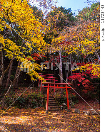 丹波篠山の洞光寺 11723443