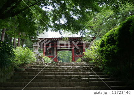 大雄山最乗寺　仁王門 11723446