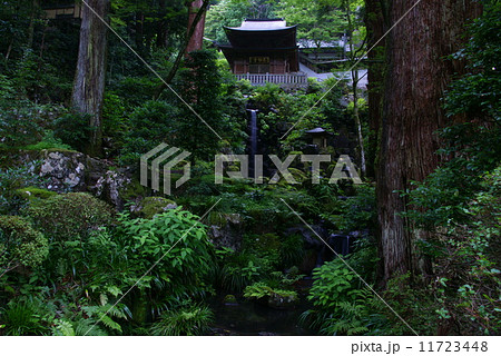 大雄山最乗寺　洗心之瀧 11723448