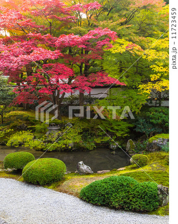 泉涌寺の御座所庭園 11723459