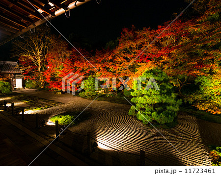 南禅寺 天授庵の庭ライトアップの写真素材