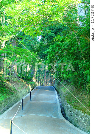 関山　中尊寺　月見坂 11723749