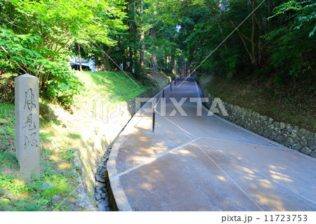 関山 中尊寺 月見坂の写真素材