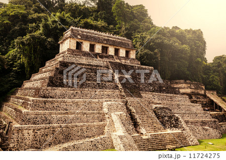 Palenque 11724275