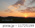 稲刈り　夕暮れ 11725199