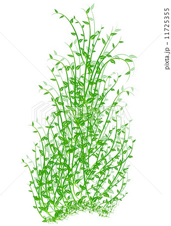 Spring in green  vector 11725355