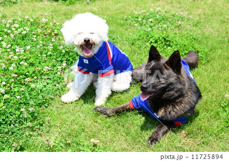 仲良し♪ 11725894