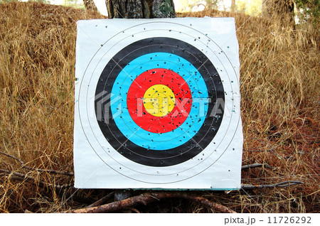 colorful shooting target colorful shooting target 11726292