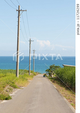 沖縄 小浜島 シュガーロードの写真素材