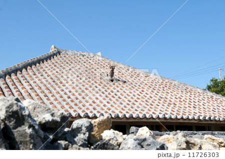 沖縄　小浜島　シーサ　民家　こはぐら荘 11726303