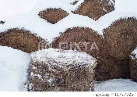 haystack in winter haystack in winter 11727025