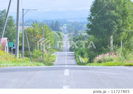 ジェットコースターの路 ジェットコースターの路 11727805