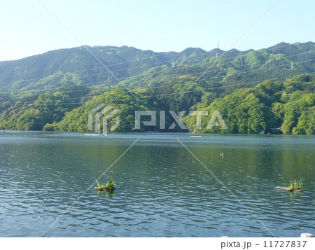 相模湖 11727837