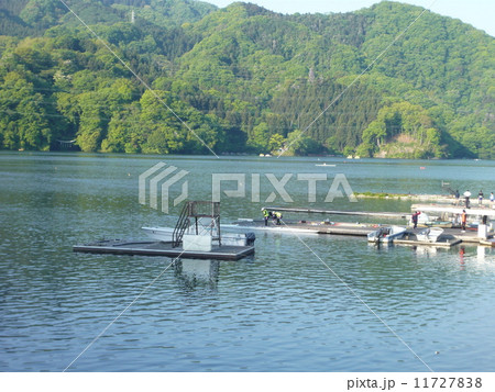 相模湖 11727838
