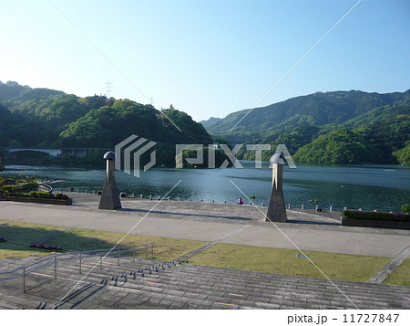 相模湖 11727847