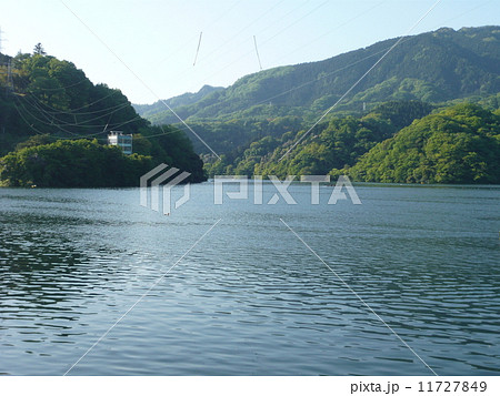 相模湖 11727849