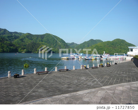 相模湖 11727850