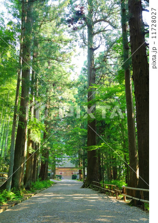 関山中尊寺 白山神社参道 関山中尊寺 白山神社参道 11728027