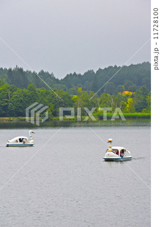 白樺湖･スワンボート（長野県茅野市北山） 11728100