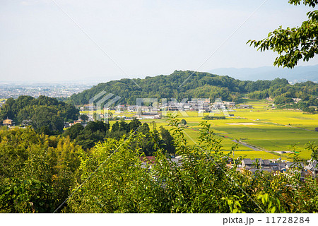 大和三山 11728284