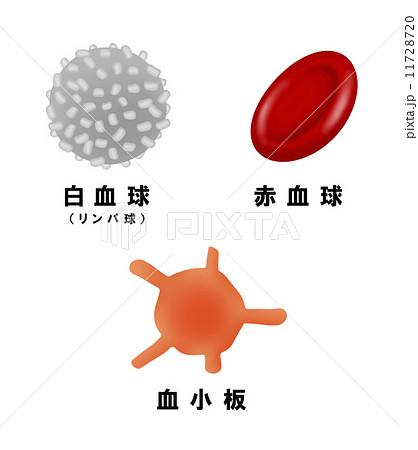 白血球 赤血球 血小板のイラスト素材