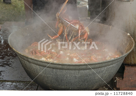蟹鍋 蟹鍋 11728840