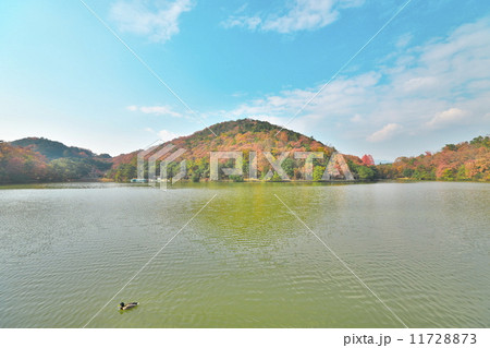 宝が池の秋 宝が池の秋 11728873