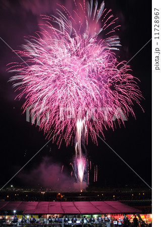 大曲全国花火競技大会・創造花火 11728967