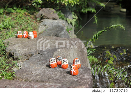 勝ちダルマ 勝ちダルマ 11729716