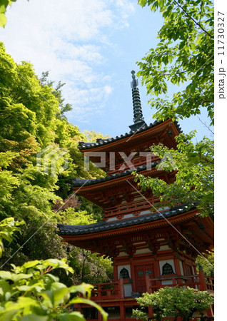 三室戸寺の新緑 11730327
