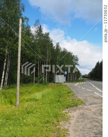 bus stop in the forest bus stop in the forest 11730632