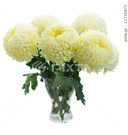 bouquet of yellow mums bouquet of yellow mums 11730875