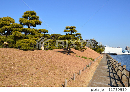 浜離宮（東京都中央区浜離宮庭園） 11730959