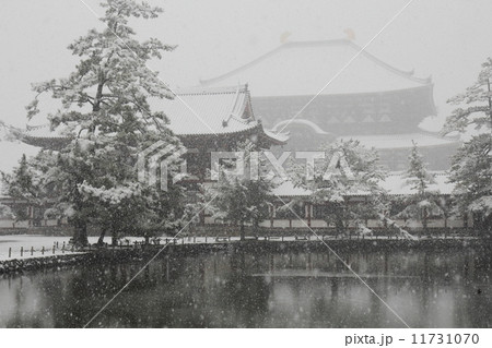 雪景色　東大寺大仏殿と鏡池 11731070