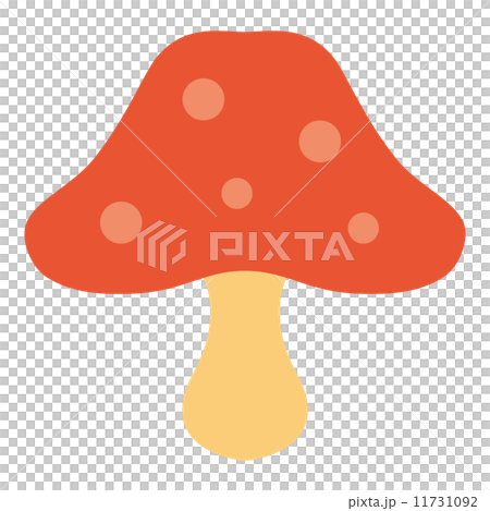 mushroom mushroom 11731092