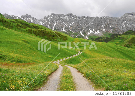 アルぺ・ディ・シウージ　Alpe　di　Siusi　　ザイザー・アルム　Seiser　Alm 11731282